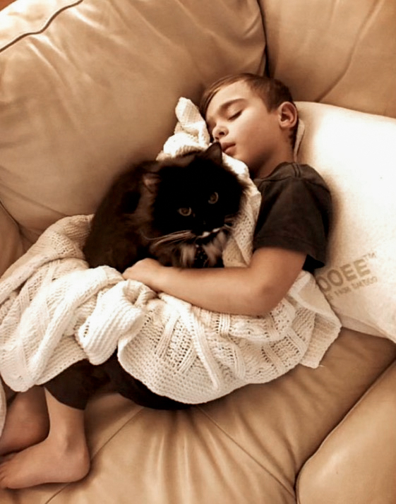 Cat resting on windowsill