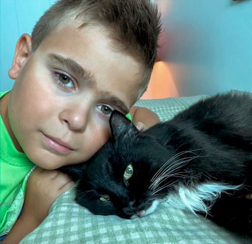 Cat playing with toys