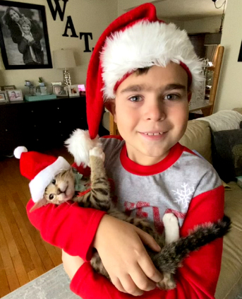 Cat with Santa hat